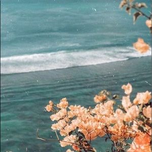 Meet your Posher, Chloe